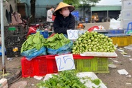 Giá rau đắt như thịt, bà nội trợ cầm 200.000 đồng đi chợ chỉ dám... rón rén