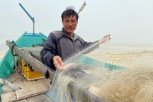 Ra khơi chỉ ít giờ, ngư dân mỏi tay gỡ cá, thu về tiền triệu