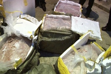 Bắt giữ 450kg nầm lợn nhập lậu tại khu vực biên giới