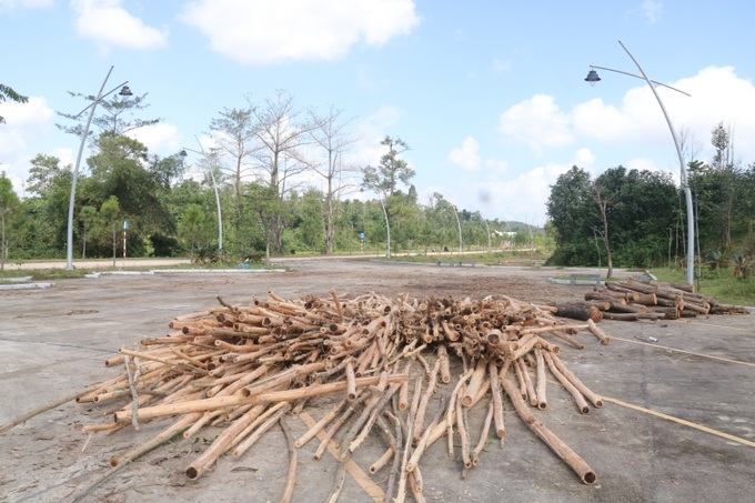 Đặc biệt là công trình bãi đỗ xe tham quan lăng vua Gia Long được đầu tư kinh phí lớn, mang lại bộ mặt hết sức hiện đại, khang trang nhưng thời gian vừa qua lại trở thành điểm tấp kết, bốc xếp keo tràm của người dân địa phương.