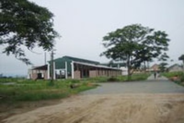 Nhà máy xả nước độc, dân khốn khổ vì ô nhiễm