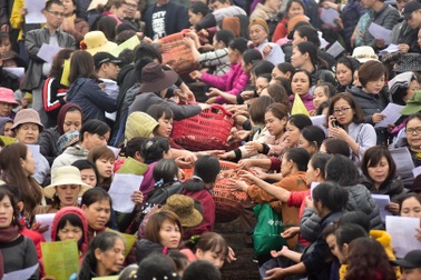 15.000 người chuyền tay phóng sinh hơn 10 tấn cá ở Hà Nội