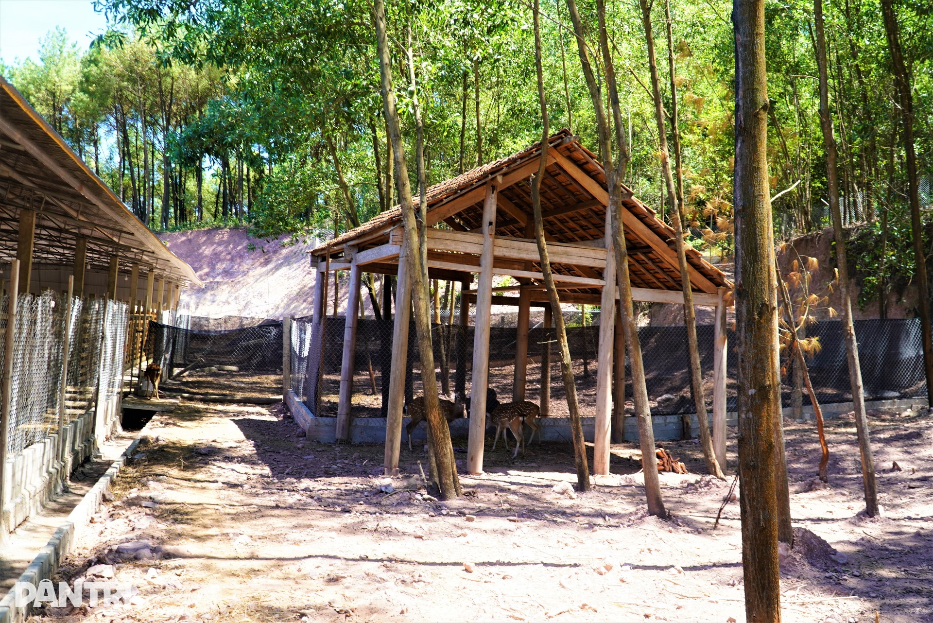 Khám phá trang trại tiền tỷ nuôi con mọc ra thần dược - 7 Khám phá trang trại tiền tỷ nuôi con mọc ra thần dược - 7