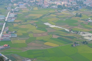 Cánh đồng lúa Bắc Sơn đẹp lộng lẫy nhìn từ trên cao