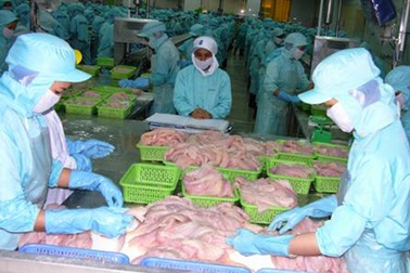 Vasep phản đối thông tin bôi xấu cá tra Việt Nam