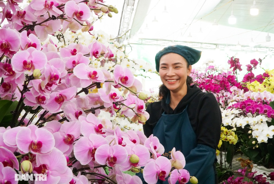 Hoa lan hồ điệp giá trăm triệu tấp nập xuống phố phục vụ đại gia chơi Tết - 6 Hoa lan hồ điệp giá trăm triệu tấp nập xuống phố phục vụ đại gia chơi Tết - 6