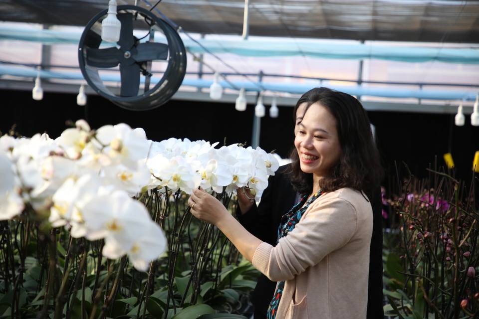 Bất ngờ với vẻ đẹp của hơn 1 vạn cây lan hồ điệp trên đỉnh Sa Mù, Quảng Trị - 4 Bất ngờ với vẻ đẹp của hơn 1 vạn cây lan hồ điệp trên đỉnh Sa Mù, Quảng Trị - 4