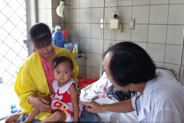 Cứu sống bé 2 tuổi suy đa phủ tạng vì ong đốt chi chít ở đầu