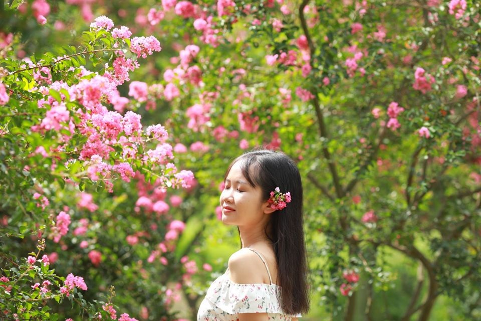 Phát “sốt” với những con đường hoa đẹp như trời Tây ngay gần Hà Nội - 12 Phát “sốt” với những con đường hoa đẹp như trời Tây ngay gần Hà Nội - 12