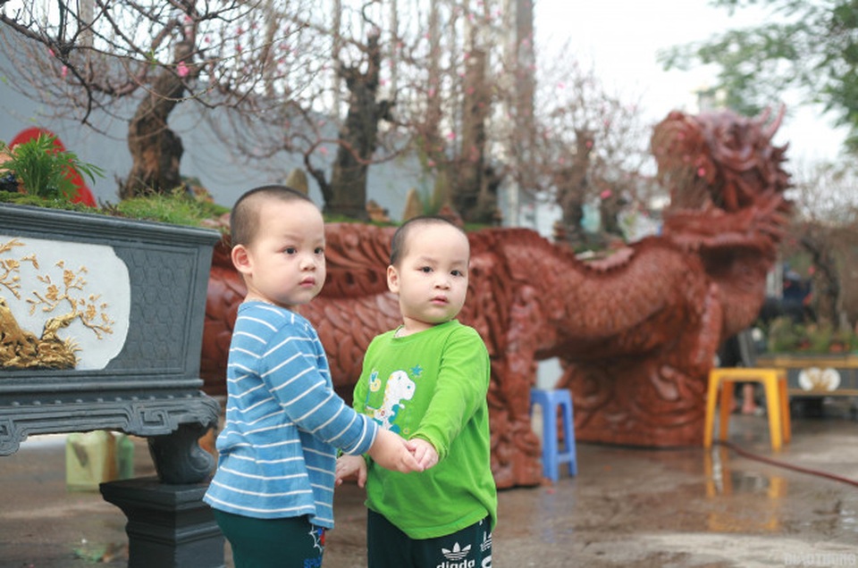 Ngắm chậu đào khủng Long quyện ngũ hành sơn giá bạc tỷ trên phố Hà Nội - 9 Ngắm chậu đào khủng Long quyện ngũ hành sơn giá bạc tỷ trên phố Hà Nội - 9