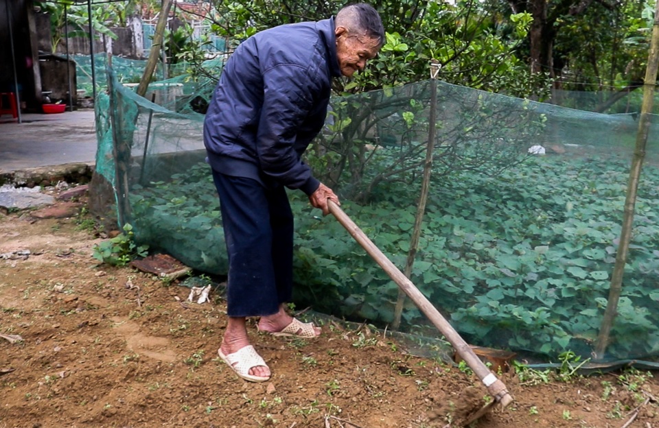 Cụ ông 107 tuổi ngày ngày cuốc đất trồng rau, viết chữ làm thơ - 3 Cụ ông 107 tuổi ngày ngày cuốc đất trồng rau, viết chữ làm thơ - 3