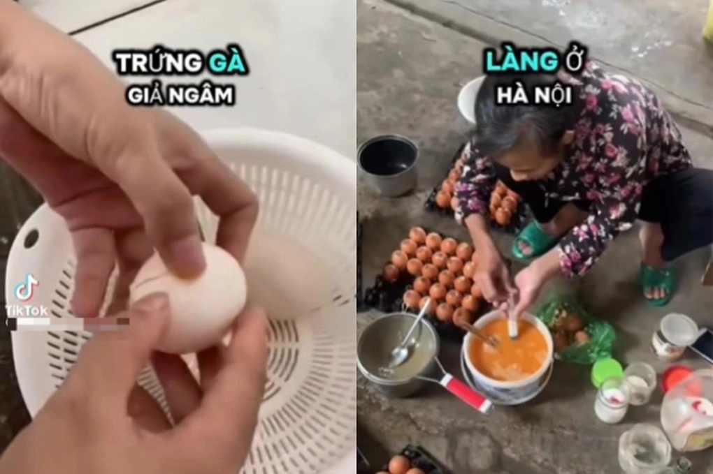 បំផុសព័ត៌មានអំពីស៊ុតក្លែងក្លាយ សមាគមស្នើឲ្យមានការដោះស្រាយយ៉ាងតឹងរ៉ឹង - ១ Xôn xao thông tin về trứng gà giả, hiệp hội đề nghị xử lý nghiêm - 1