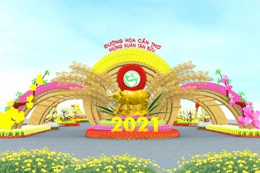 Đường hoa Cần Thơ sử dụng 40.000 giỏ hoa, cây cảnh thuộc 50 chủng loại