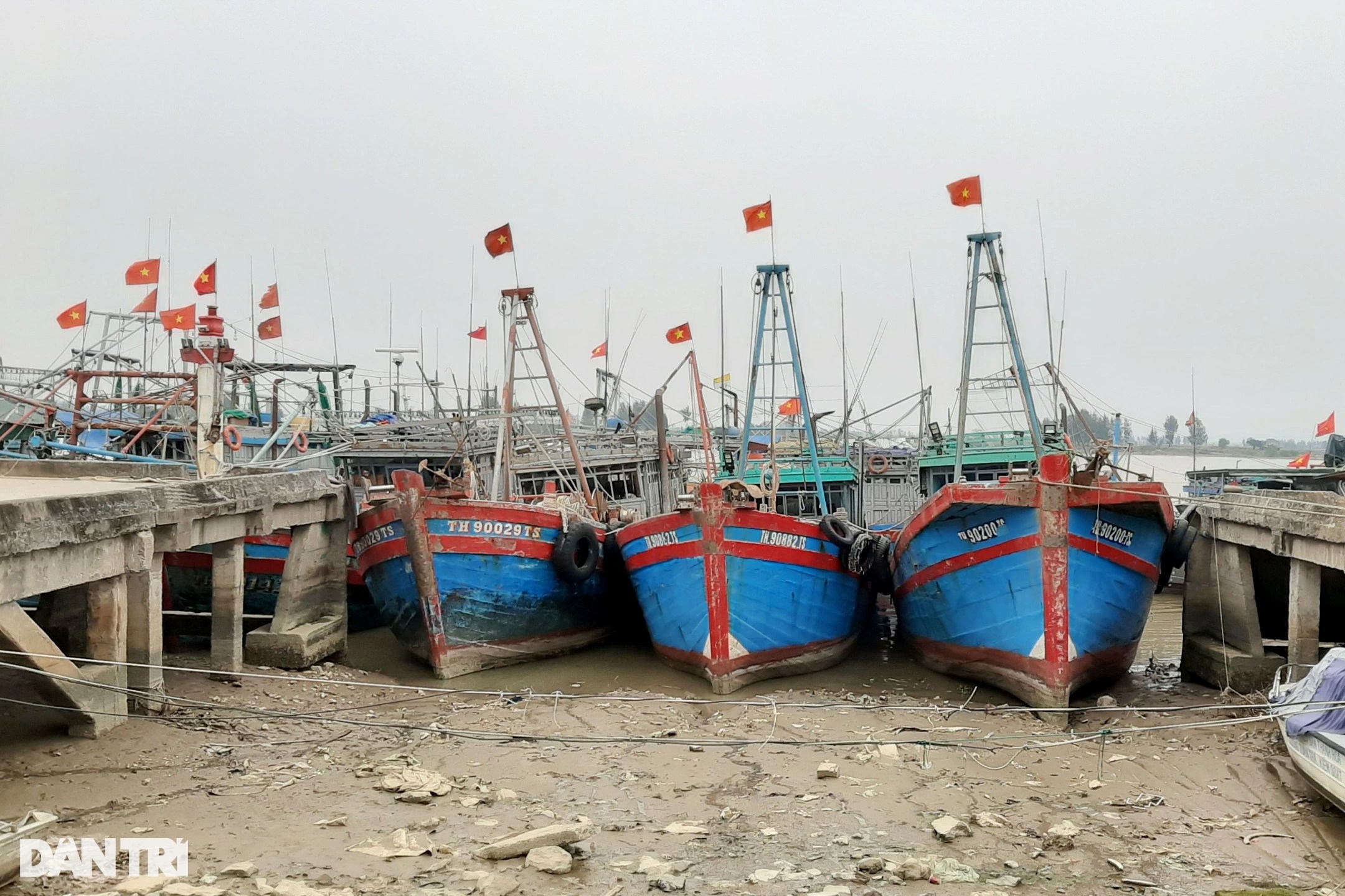 Khó khăn kép của ngư dân làm nghề đánh bắt hải sản - 5