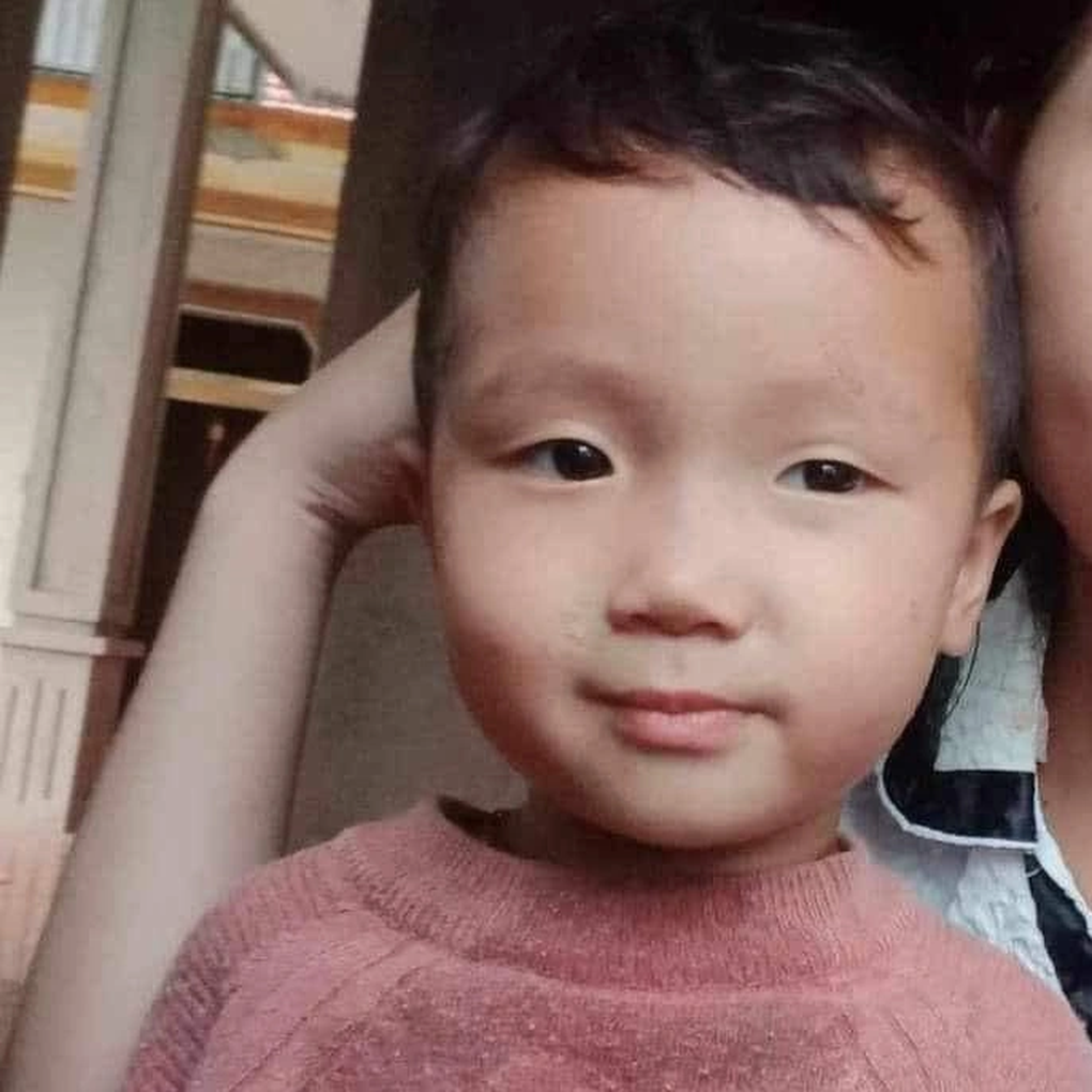 Cả làng trắng đêm tìm kiếm bé trai 2 tuổi mất tích bí ẩn - 1 Cả làng trắng đêm tìm kiếm bé trai 2 tuổi mất tích bí ẩn - 1