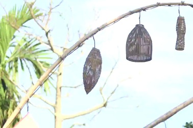 Màn cầu hôn lãng mạn của chàng trai Việt với cô gái Lào