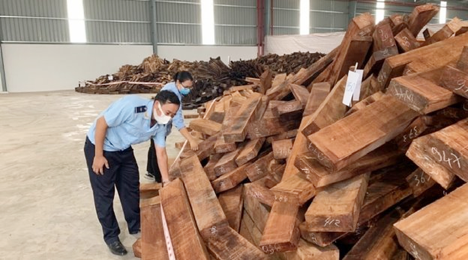Phát hiện lô gỗ quý “khủng” nhập lậu từ Nigeria vào Việt Nam - 1 Phát hiện lô gỗ quý “khủng” nhập lậu từ Nigeria vào Việt Nam - 1