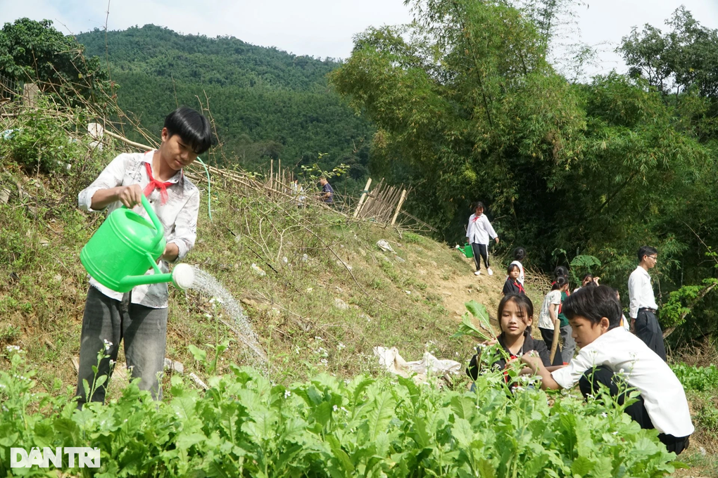Độc đáo mô hình học sinh vùng biên trồng rau, nhà trường trả tiền - 2 Độc đáo mô hình học sinh vùng biên trồng rau, nhà trường trả tiền - 2
