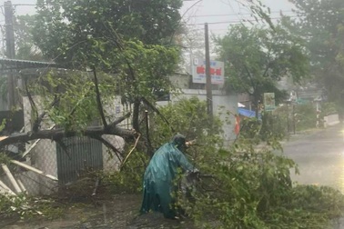 Tìm 70 người vào rừng, chưa trở về nhà khi bão Trà Mi đổ bộ đất liền