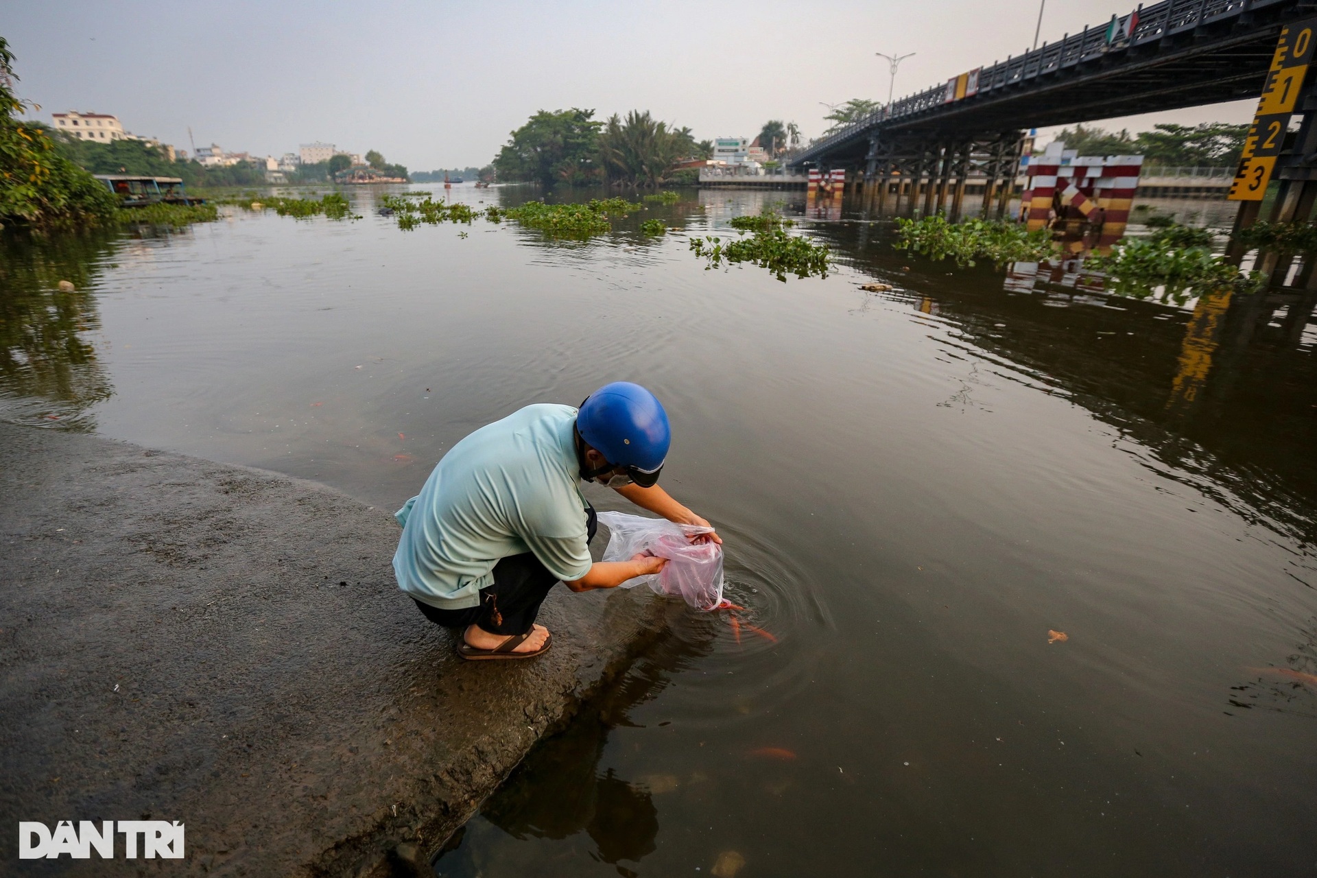 Người dân thuê thuyền ra giữa sông Sài Gòn thả cá tiễn ông Táo - 4