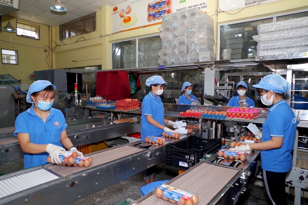 Tặng tiền, tăng lương... công nhân TPHCM vẫn nghỉ việc, bỏ phố về quê - 7 Tặng tiền, tăng lương... công nhân TPHCM vẫn nghỉ việc, bỏ phố về quê - 7