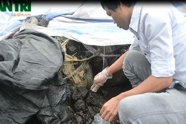 Phạt 270 triệu đồng Công ty tái chế chất thải độc hại gây ô nhiễm ở thị trấn Phú Thứ