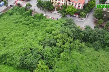 Cận cảnh những lô "đất vàng" giữa Thủ đô để hoang, cỏ mọc um tùm