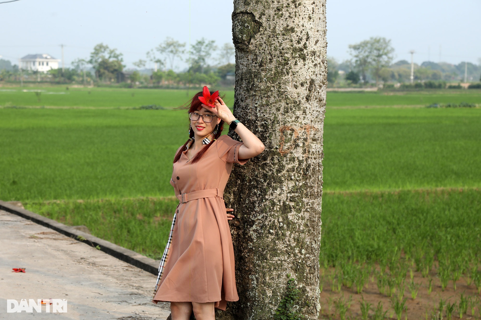 Hoa gạo nở đỏ rực từ nông thôn đến thành phố - 3 Hoa gạo nở đỏ rực từ nông thôn đến thành phố - 3