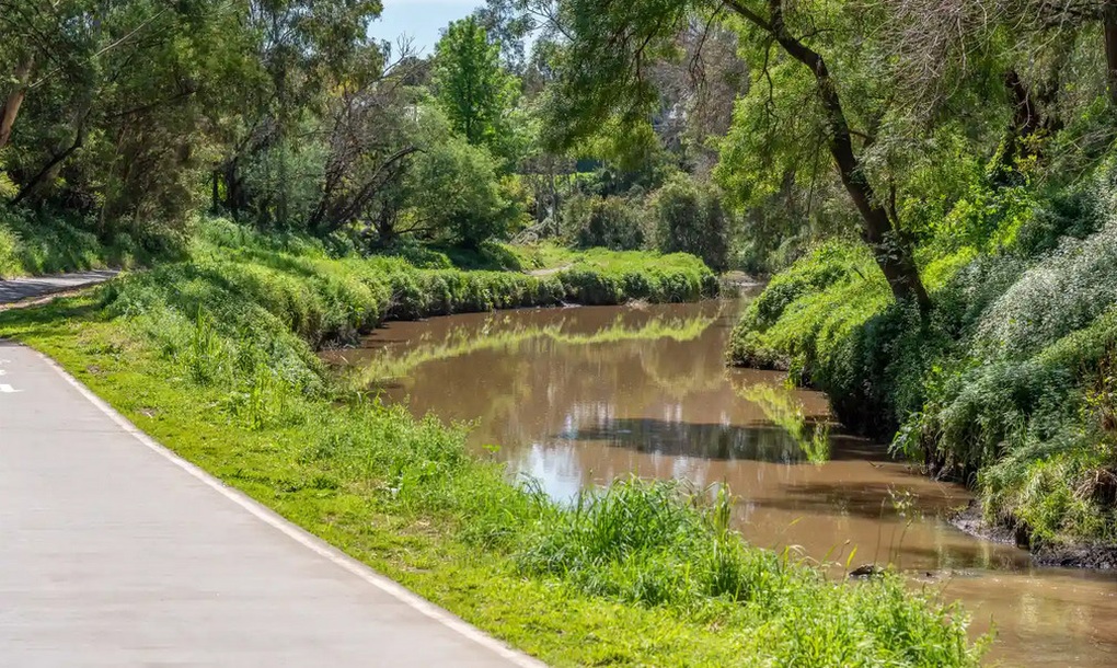 Vụ hiếp dâm bên bờ lạch và hành vi kỳ lạ của kẻ gây án - 2 Vụ hiếp dâm bên bờ lạch và hành vi kỳ lạ của kẻ gây án - 2