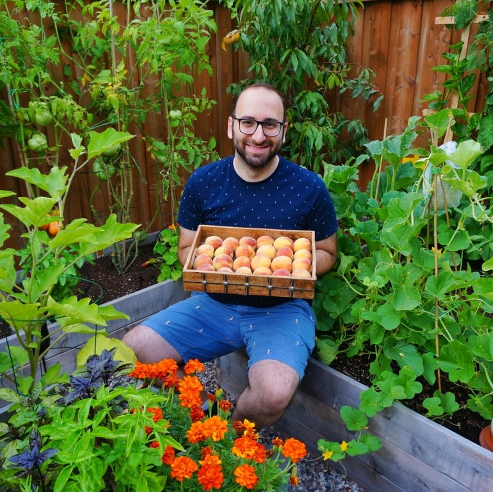 Stress vì công việc, chàng trai lột xác sân thành vườn rau sạch - 2