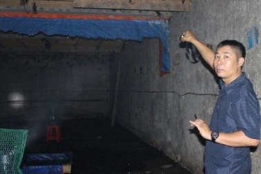 Bỏ quán nhậu, xây nhà dụ chim đến ở, kiếm tiền tỷ