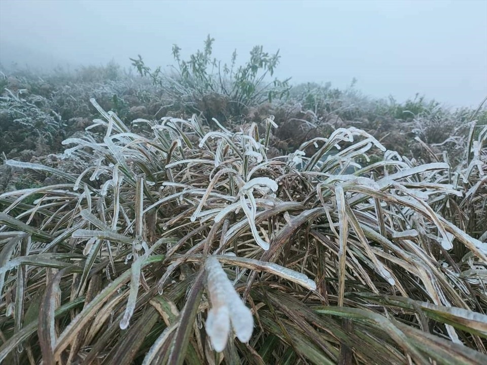 Lãnh đạo địa phương chịu trách nhiệm nếu để người dân chết vì rét - 1