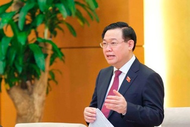 Lấy ý kiến khi bổ sung quy định Quốc ca, Quốc kỳ trong luật Sở hữu trí tuệ