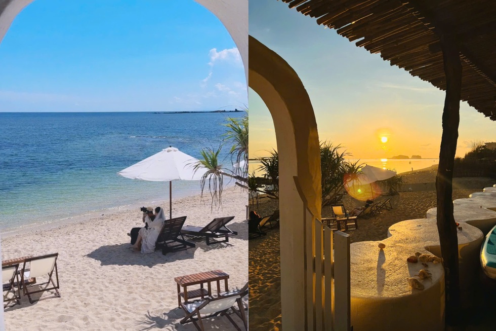 Tour lặn biển ở Phú Quý giá 250.000 đồng, kín chỗ từ sáng đến chiều - 5