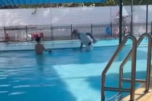 Xác minh clip bé trai bị người đàn ông dìm đầu xuống bể bơi ở Hà Nội