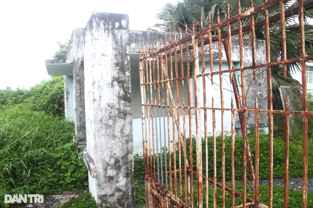 Bạc Liêu: Cỏ mọc um tùm trong khu nhà ở sinh viên được đầu tư hơn 80 tỷ - 3 Bạc Liêu: Cỏ mọc um tùm trong khu nhà ở sinh viên được đầu tư hơn 80 tỷ - 3