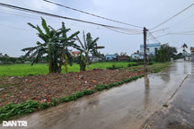 Đất ở nông thôn mất nửa giá sau 1 năm, người vỡ nợ vì đất càng nhiều