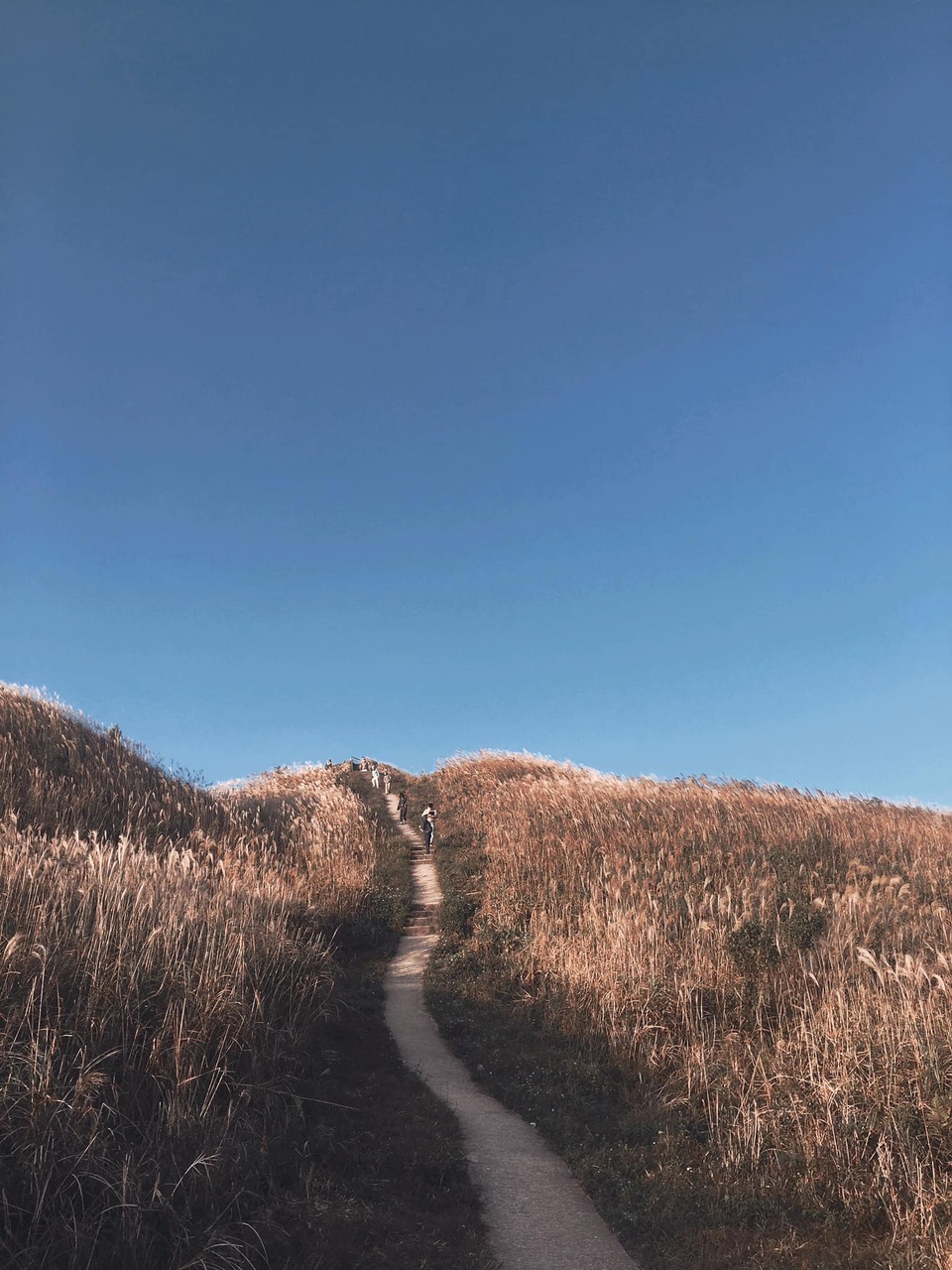 Bình Liêu đẹp mê hồn trong MV triệu view gây sốt của Sơn Tùng M-TP - 6