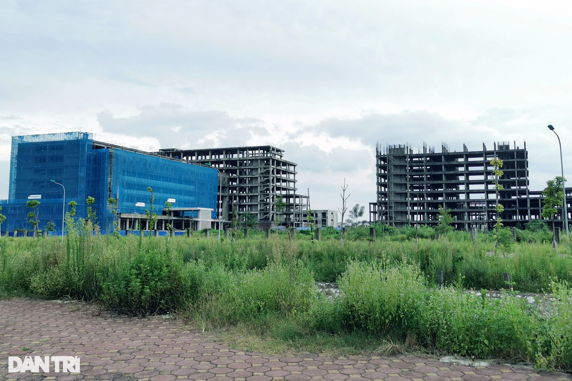 Khu đô thị gần 200ha ở Nam Định phần lớn bỏ hoang, thành nơi nuôi gia súc - 8 Khu đô thị gần 200ha ở Nam Định phần lớn bỏ hoang, thành nơi nuôi gia súc - 8