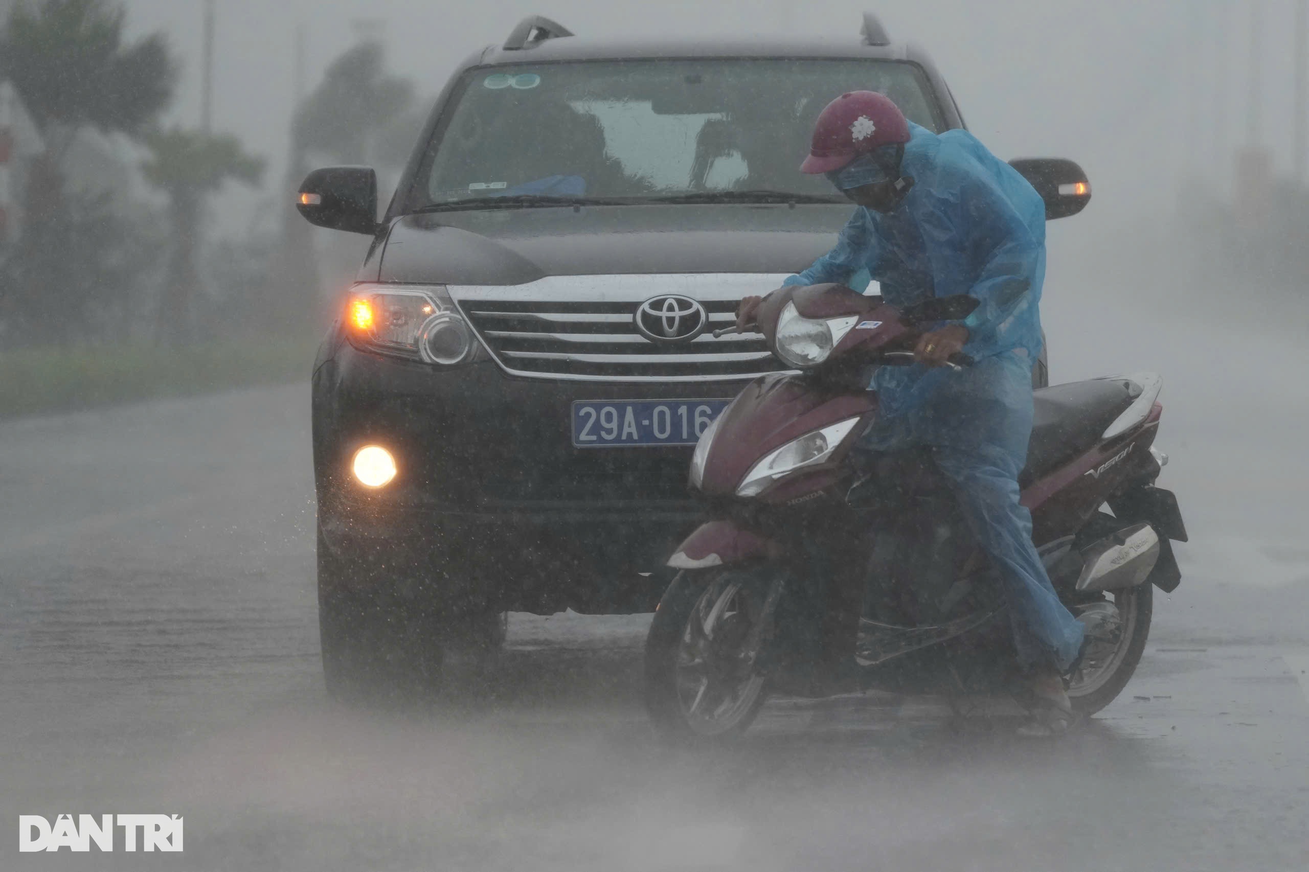 View - Trước giờ bão Yagi đổ bộ Quảng Ninh: Cây xanh gẫy đổ, tôn bay la liệt | Báo Dân trí