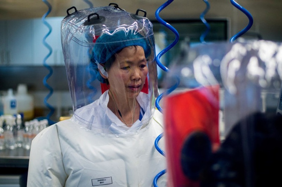 Người dơi Trung Quốc cảnh báo virus SARS-CoV-2 tiếp tục biến chủng - 1 Người dơi Trung Quốc cảnh báo virus SARS-CoV-2 tiếp tục biến chủng - 1