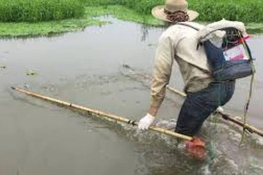 Chích điện bắt cá, người đàn ông tử vong