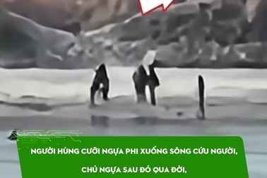 Người hùng cưỡi ngựa cứu người: Chú ngựa qua đời, được dựng tượng vinh danh