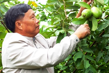 Cán bộ xã về hưu, biến đất đồi thành trang trại "tam nông" cho thu nhập cao