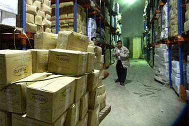 12 tấn thịt bò Canada "thối"  vì quá "đát"