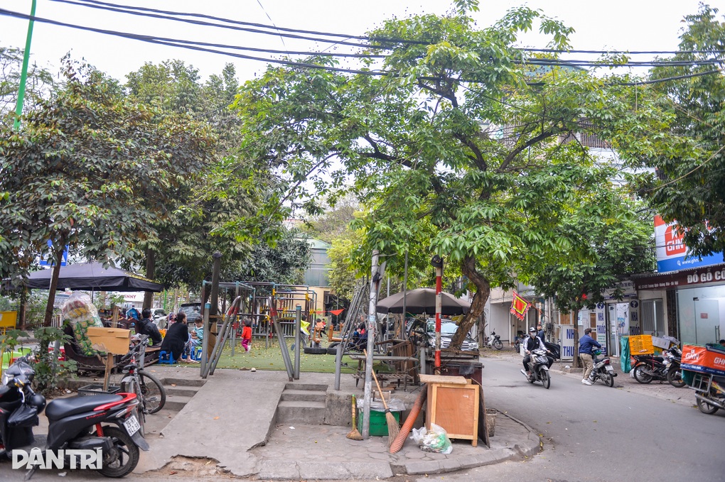 2 con khỉ hoang gây náo loạn khu dân cư ở Hà Nội - 2 2 con khỉ hoang gây náo loạn khu dân cư ở Hà Nội - 2