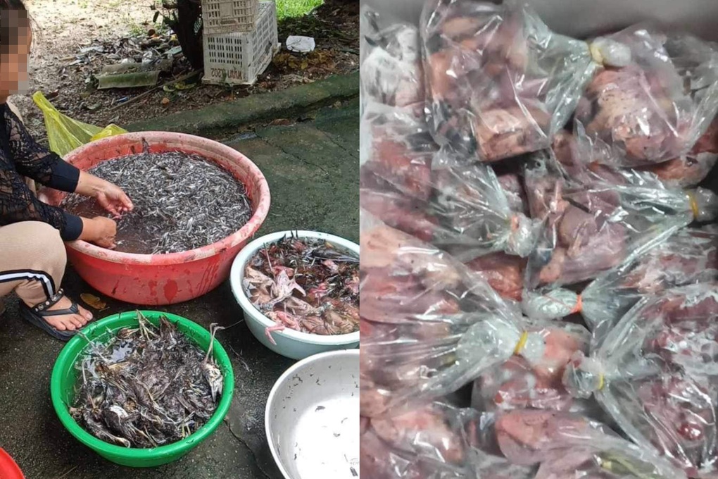 Đường đi của chim trời: Sôi động từ chợ mạng đến bàn nhậu giữa Thủ đô - 3 Đường đi của chim trời: Sôi động từ chợ mạng đến bàn nhậu giữa Thủ đô - 3