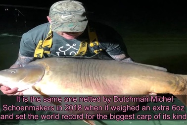 Bắt được cá khổng lồ thuộc họ cá chép nặng 51 kg