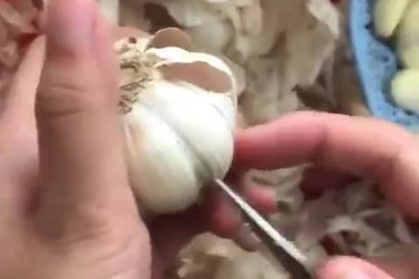 Clip cách bóc tỏi cực nhanh và đơn giản không ngờ, thu hút hàng chục triệu lượt xem