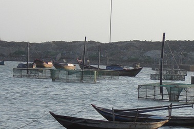 Công bố nghị quyết thành lập thành phố Cam Ranh